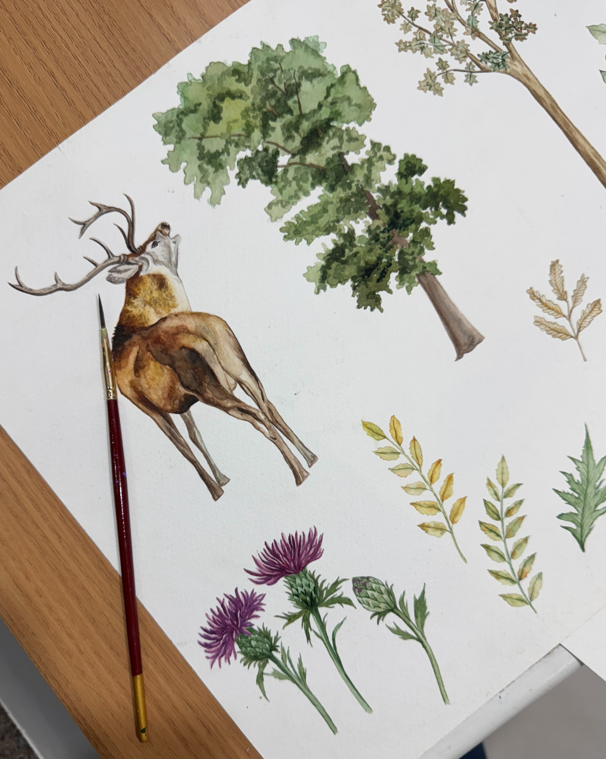 Vivo Highland Stag Dinner Napkin S/4