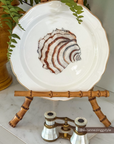 Seaside Villa Trochus Set of 2 Plates 8.25" *Pre-Order