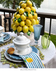 Vivo Lemon Stripe 17" Napkin S/4