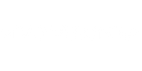 VIVO VERONIKA logo