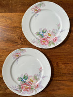 Fuji China Wild Rose Dinner Plates (2)