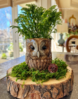 Ceramic Decorative Pot - Tawny Owl