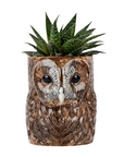 Ceramic Decorative Pot - Tawny Owl