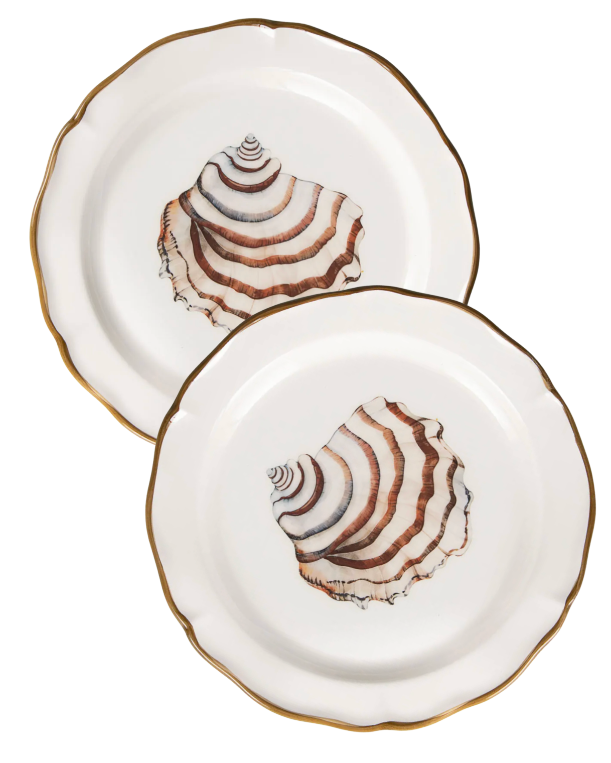 Seaside Villa Trochus Set of 2 Plates 8.25"  *Pre-Order