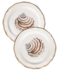 Seaside Villa Trochus Set of 2 Plates 8.25"  *Pre-Order